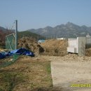 석포2교 Daum카페