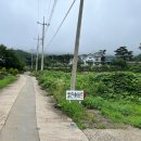 엘린휴버트 이미지