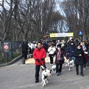 산책 이미지