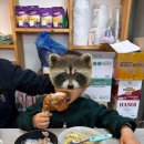 고향쌀국수 | [맛집] 용문역 맛집, 사이공우리고향쌀국수 내돈내산 솔직후기