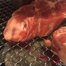 박대호제주 Miss돈 이미지