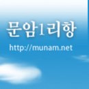 문암1리항 이미지