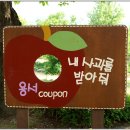 들꽃수목원 이미지