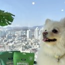 데일리로(DailyRo) 이미지