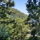 기흥호수공원(뚝방) 이미지