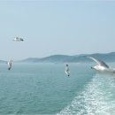 펜션해밀 이미지