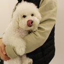 개스맨 이미지