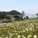 동헌세탁소 | 허균 앞서가는 민주주의 조선의 혁명가