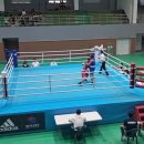 경주권투체육관 이미지