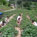 부여송죽마을 이미지