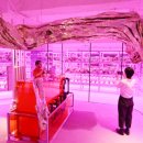 명동농장 이미지