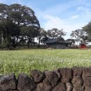 성읍2리마을회관 이미지