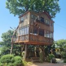 제이트리하우스 이미지