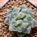 대옥농장 이미지