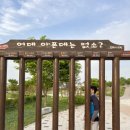 전천로 이미지