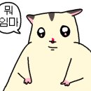 케키당 이미지