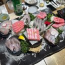 양주 고우시 횟집 – 정갈한 분위기와 신선한 해산물의 만남