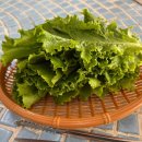 예산소갈비 이미지