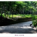 비원 이미지