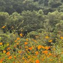 소백산장 이미지