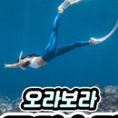 오라보라 이미지