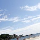 배말칼국수김밥 이미지