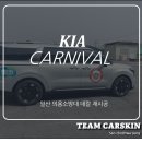 팀카스킨 이미지