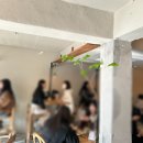 몬탁 방배점 이미지