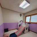 둥지(네스트) 이미지