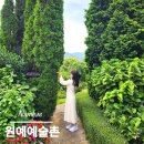 원예예술촌 (매표소옆) | 남해여행 가볼만한 곳 정원테마 원예예술촌