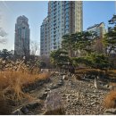 광교중앙역공인중개사사무소 이미지