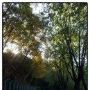 호명호수관광안내소 이미지