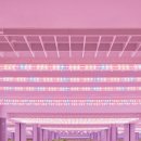 광(光)농장 이미지