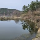 목골소류지 Daum카페