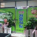 포포전문식당