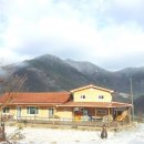 딸부자 펜션 이미지