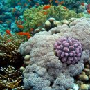 재림열쇠 이미지