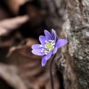 연상1리마을회관 이미지