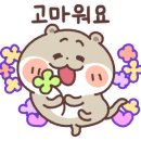 도화5단지 이편한세상아파트 이미지