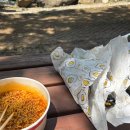 평촌역 김밥맛집 김밥말다 내돈내산 후기 | 혼밥하기 좋은 분식집 추천