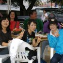 김천초등학교 이미지