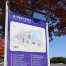 문수론볼경기장 이미지