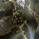 정재영농장 이미지