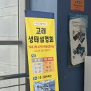 울산 가볼만한곳, 장생포 돌고래쇼 관람 고래생태체험관 후기