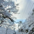 삼막사