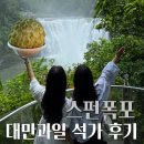 천지과일 | 대만여행 스펀폭포 예스진지 버스투어 ! 석가 대만과일 후기