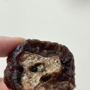 1982 PET FOOD 이미지