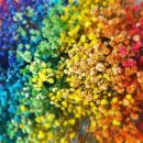 (주)무지개팜 이미지