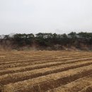 삼싹농장 이미지