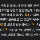 아사리판
